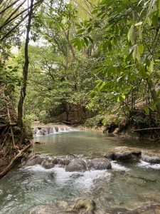 Photo Sara Conrad, Waterfalls, Jamaica, Bud and Breakfast 420 friendly lodging