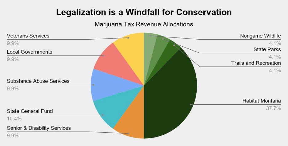 chart marijuana tax revenue Montana 