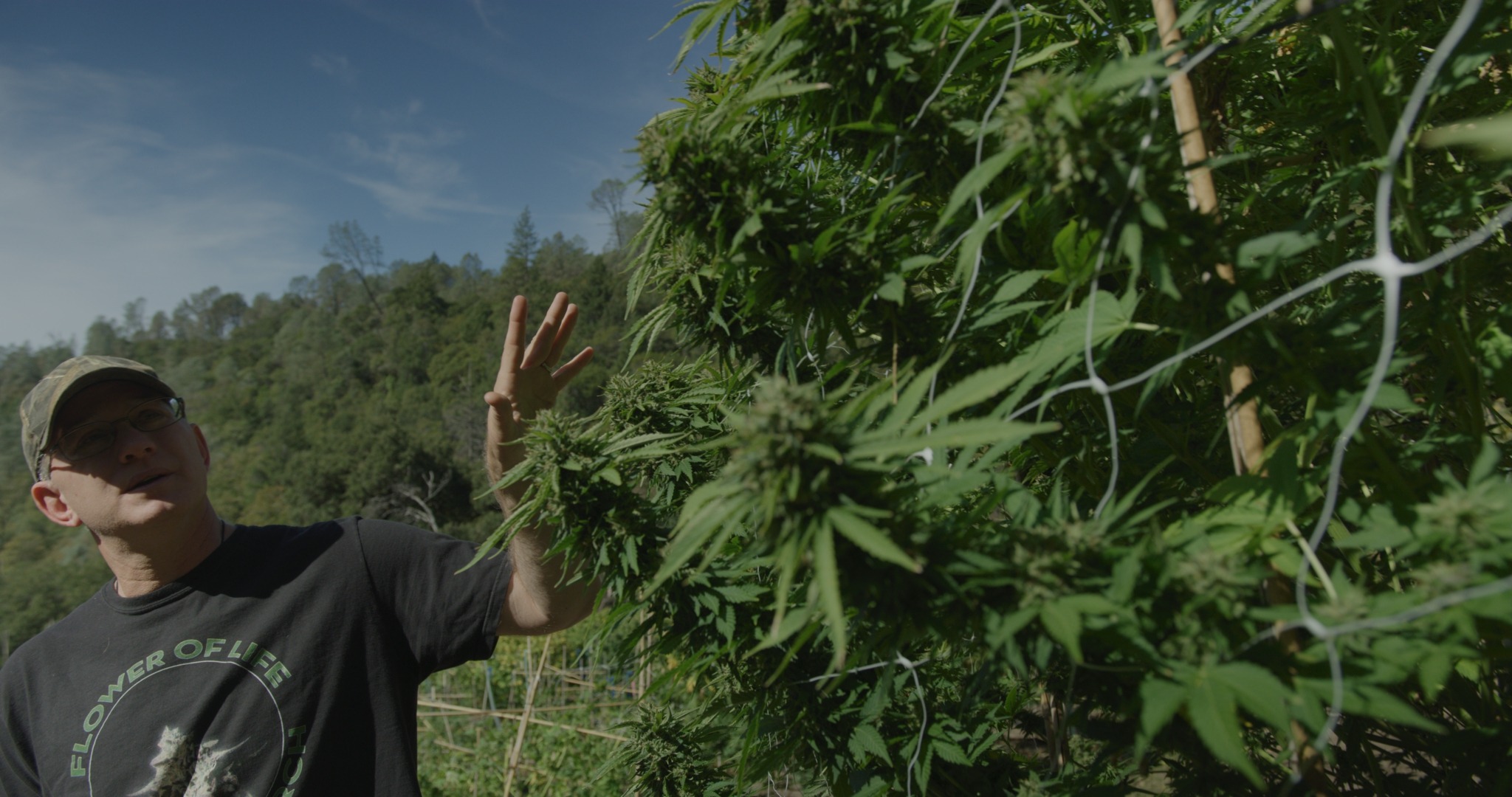Mendocino Experience Cannabis Farm Tour
