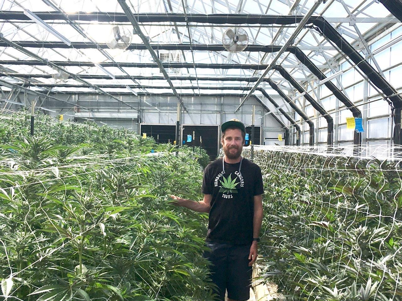 Half Day Cannabis Farm Tour
