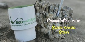 Cannabis Vacation 420 Friendly Accommadations