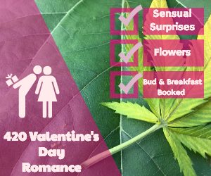 budandbreakfast, 420 vacations