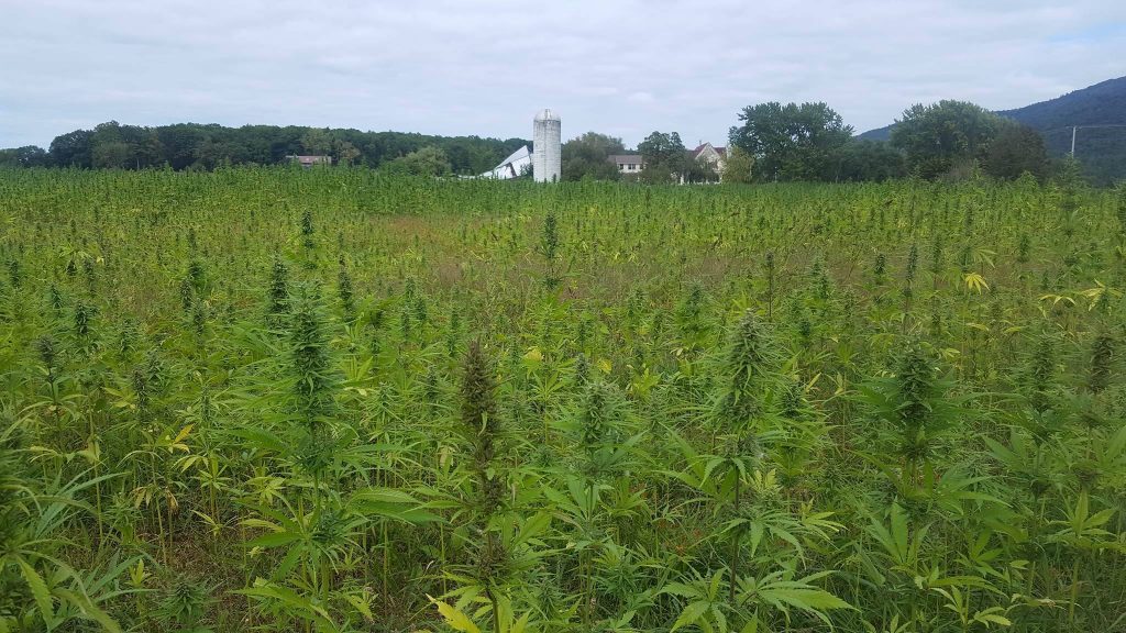 Cynevan Farms, vermont, bud and breakfast, weddings 