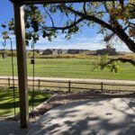 Gourmet Bud & Breakfast Garden side