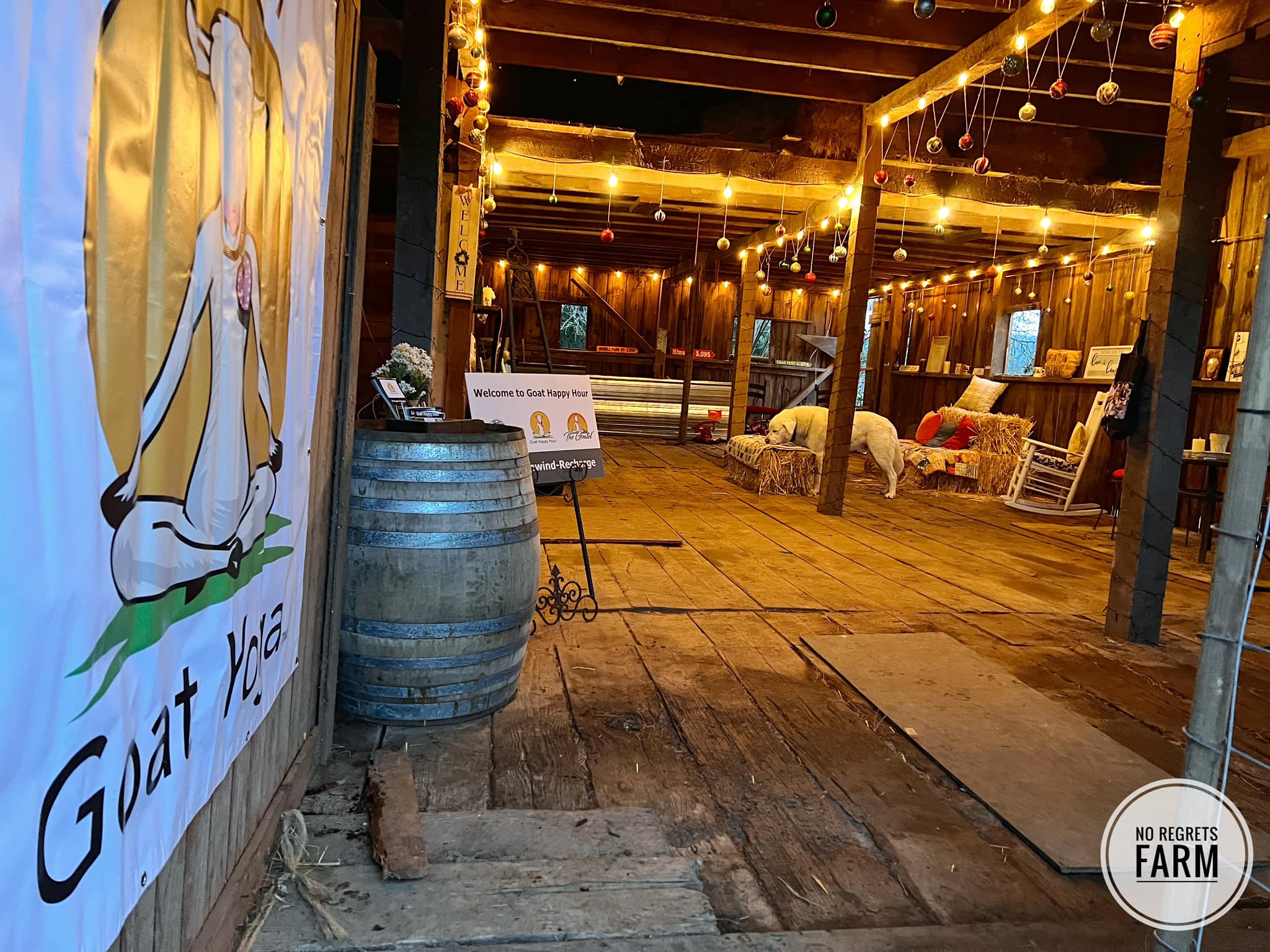 Goat Happy Hour at No Regrets Farm Sanctuary