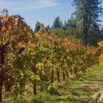 Placerville El Dorado County