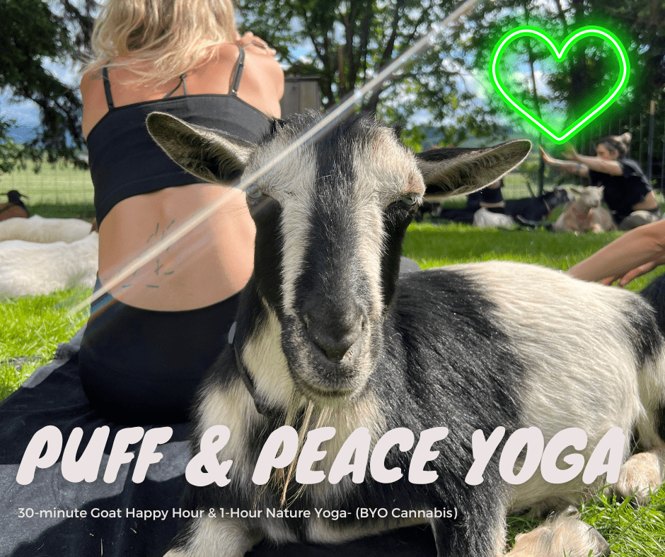 Puff & Peace Yoga