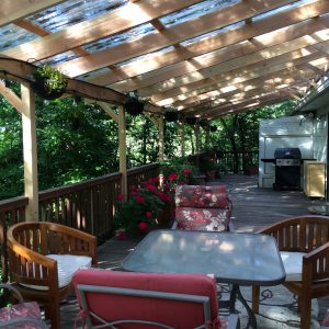 Dragonfly Earth Medicine Guest House