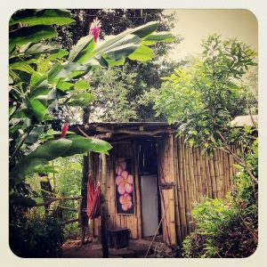 Cannabis Friendly Bamboo Bungalow