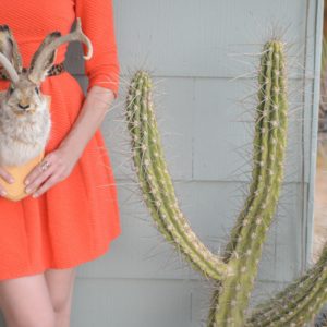 Jackalope – Joshua Desert Retreats