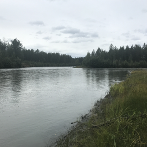 Alaska Cannabis Retreat