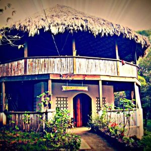 Eternal Sun Healing Arts: Massage, Yoga, Meditation & Vegan