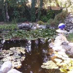 ZEN ... you ( No HSR19-002530)