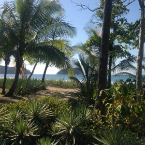 Bare Feet ♥ Beach House