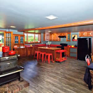 The Tortoise and The Mare