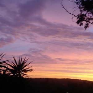 Above the Lights a Star Gazing Experience