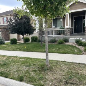 BEDROOM, OFFICE & PRIVATE BATH, IN PARKER, CO