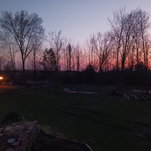 A Waggin’ Good Time At Mellow Acres