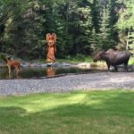 7 Private Alaska Wilderness Cabins Steps Away From The Kenai River