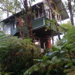 Hawi Plantation House