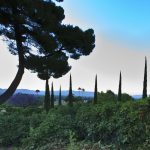 Frank Sinatra/RogerMiller/Clint Walker Woodland Hills Mansion