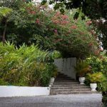 San San Tropez – Jamaica