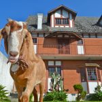 Castelinho Eco-House