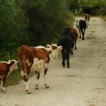 Hike the Mountains of Uruguay