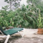 Jungle Seclusion w/ Cliff Access