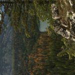 Mountain Refuge Ranch