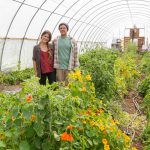 Farm to Table Relaxing Group Accommodations