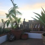 The House of Zen – Herbal Friendly Oceanview Guesthouse