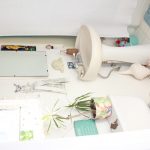 Balboa Island Bungalow