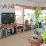 Balboa Island Bungalow