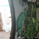 The House of Zen – Herbal Friendly Oceanview Guesthouse