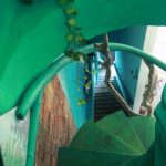 The House of Zen – Herbal Friendly Oceanview Guesthouse