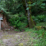 Camp Heaven Glamorous Camping