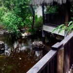 Premiere 6 br Montego Bay Villa – Tek Time