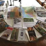 Mendo Green Goddess Studio North