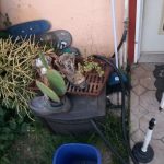 Room with Private entrance and restroom, Laundry, 10 Strains to choose from. Adventure tour guide