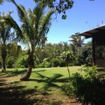 Hawaiian Bud and Breakfast
