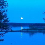 Seaside Cottage on an Island with Spectacular Water Views!!