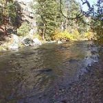 Dripping Springs Resort