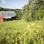 This Wonderful Place