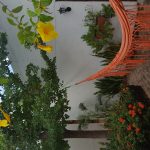 Casa de Los santos Reyes Hotel Boutique Valledupar