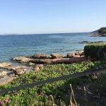 Athens Glifada Centre Shop, Swim & Stay