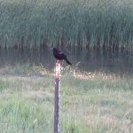 Charming Studio on Tennyson St at Berkeley Park