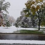 Charming Studio on Tennyson St at Berkeley Park