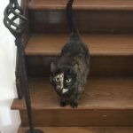 Fruitvale Station Bud n Breakfast in Oakland