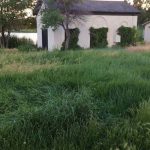 Charming Studio on Tennyson St at Berkeley Park